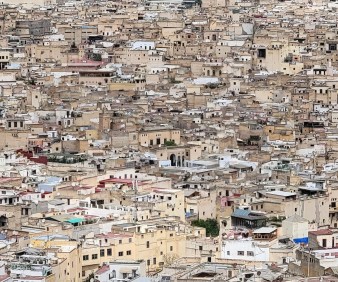 Overlooking view of the Medina of Fez
